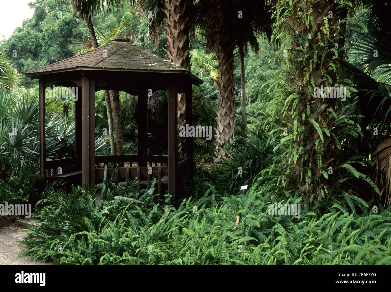 Gainesville florida kanapaha botanical gardens hires stock photography