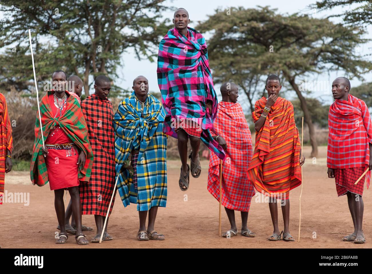 Maasai warriors doing an Adamu jump dance. Stock Photo