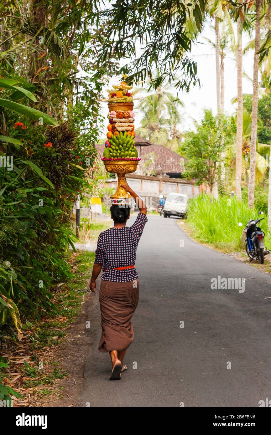 Woman carrying offering to temple, Pejeng Kaja, Tampaksiring, Bali, Indonesia Stock Photo