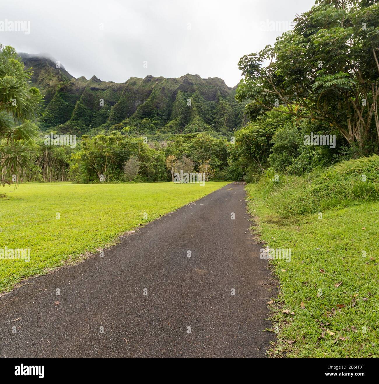 A Road In The Botanical Gardens In Ho Omauluhia Oahu Hawaii Stock