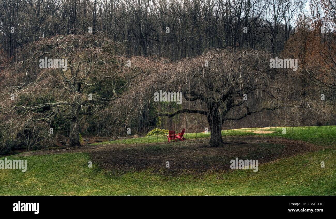 Seats under tree hi-res stock photography and images - Alamy