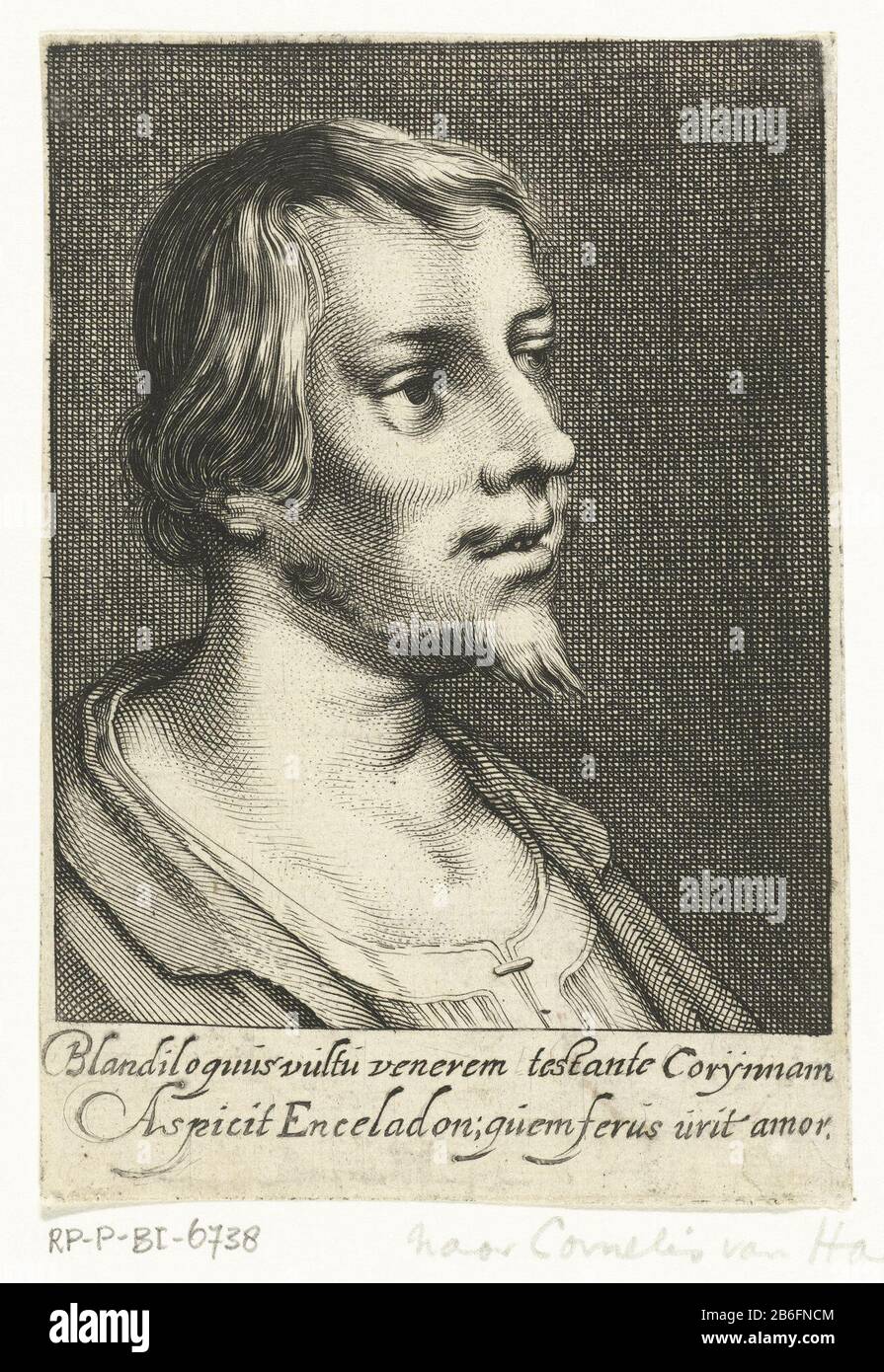 Bust of young man RP-P-BI-6738 Bust of young man with a margin of two lines of Latin tekst. Manufacturer : printmaker: Cornelis van Dalen (I) Date: 1612 - 1665 Physical characteristics: engra material: paper Technique: engra (printing process) Measurements: sheet: 119 mm × h b 83 mm Subject: adult man Stock Photo