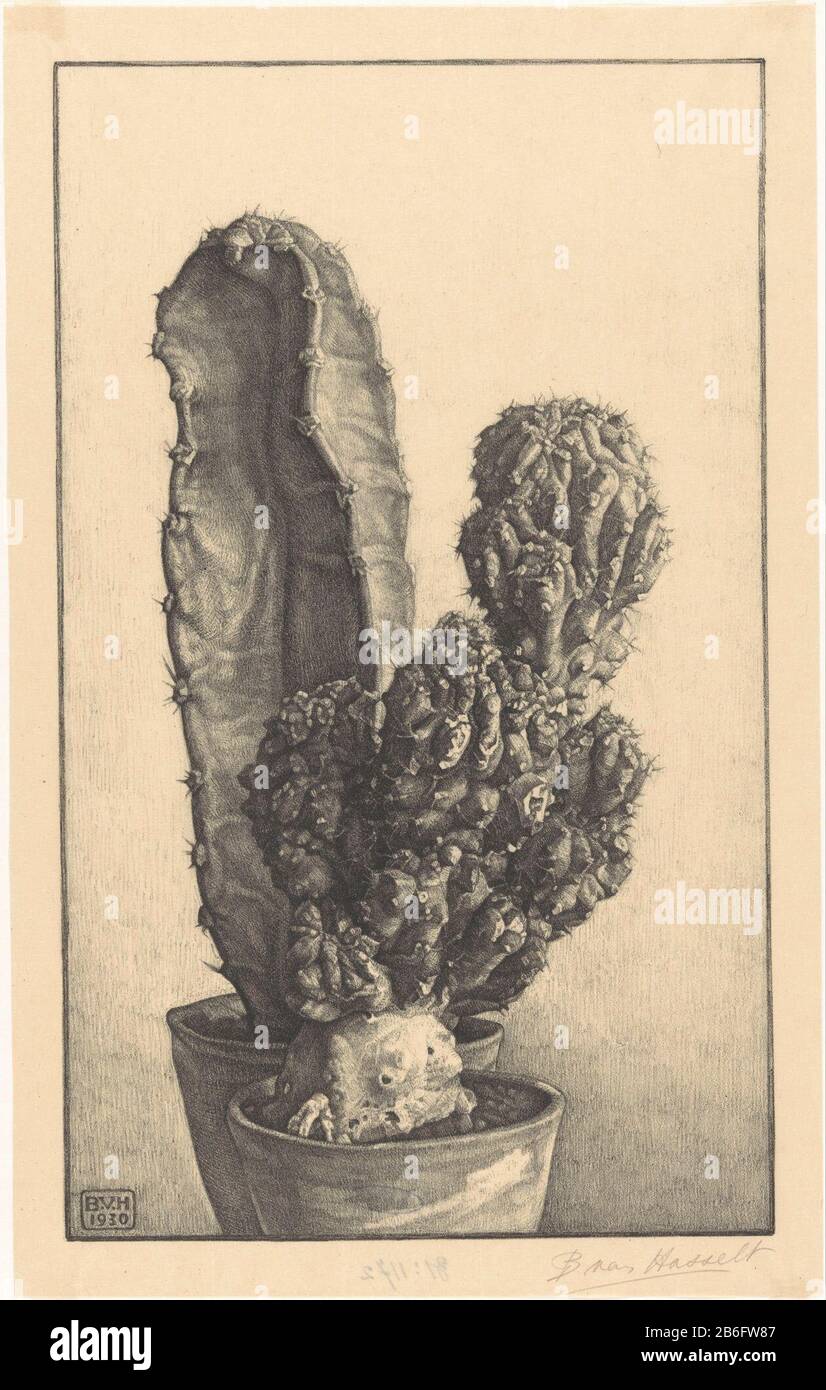 Caktussen (original title) Two jars with cactussen. Manufacturer : printmaker: Bertha van Hasselt (personally signed) Date: 1930 Material: paper Technique: lithography ( technique) Dimensions: sheet: h 355 mm × W 223 mm Subject: plants and herbs: cactuspotted plant Stock Photo