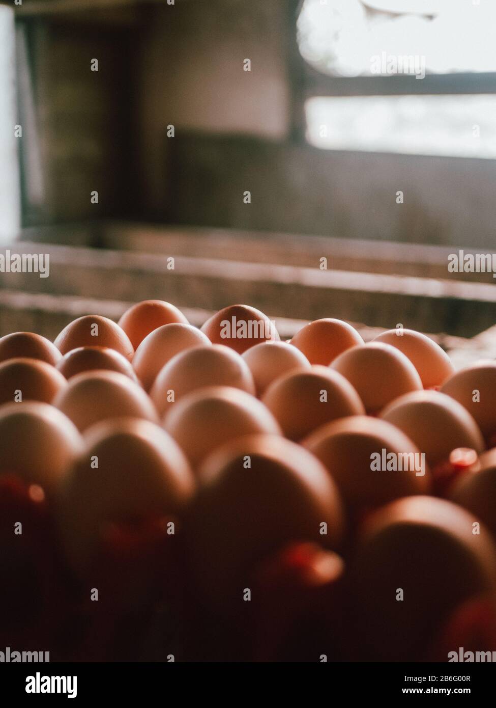 Some freeranged eggs in Australia Stock Photo Alamy