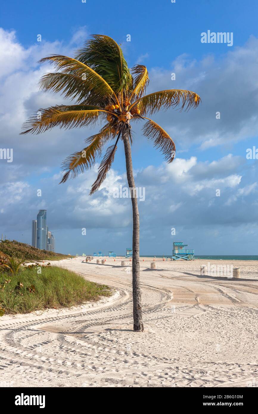 Haulover Beach Florida Hi-res Stock Photography And Images - Alamy