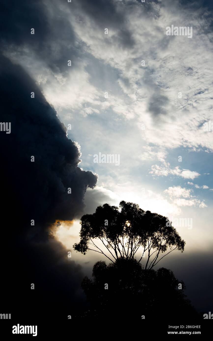 Bush Fires Smoke - Australia Stock Photo - Alamy