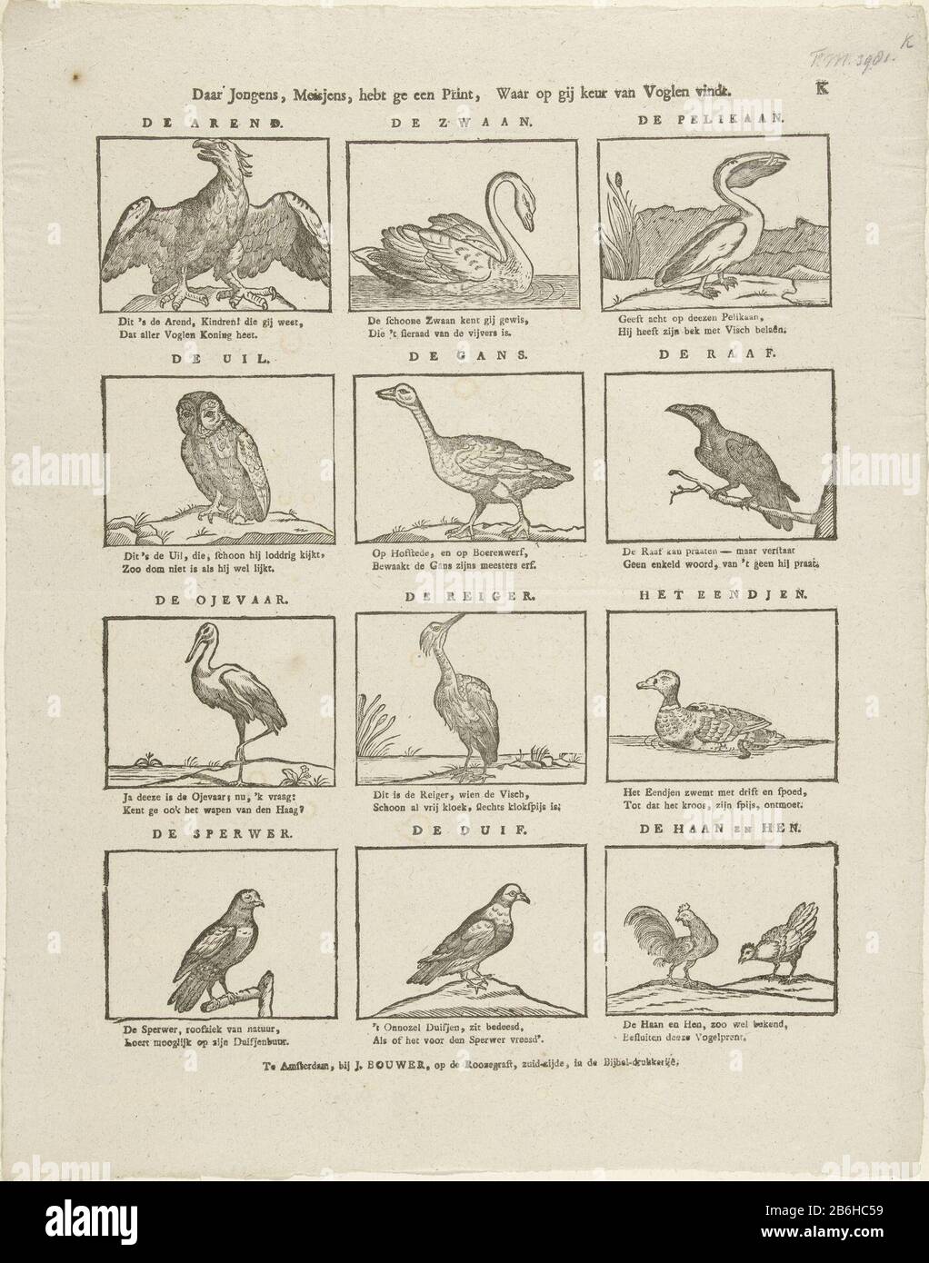 As boys, lovey jens, thou hast a print, where to you find variety of voglen (title object) sheet 12 with representations of birds. Above each image of the animal name under each As boys, lovey jens, thou hast a print, where to you find variety of voglen (title object) sheet 12 with representations of birds. Above each image of the animal name under each