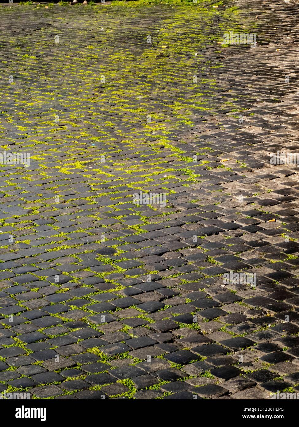Italy, Rome, old sampietrini paved floor with green Stock Photo