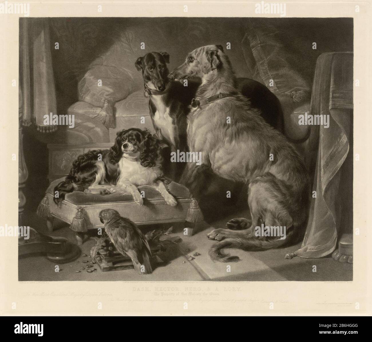 Dash, Hector, Nero, & A Lory Dash, Hector, Nero & A Lory. Object Type : picture Item number: RP-P-OB-70.429X Manufacturer : printmaker: Frederick Bacon to painting by Edwin Henry Landseer Publisher: Colnaghi & Couitgever: Vibert & Cie GoupilPlaats Manufacture: London Date: 1813 - 1887 Physical characteristics: etching, engra and aqua tint material: paper Technique: etching / aqua hue / engra (printing process) Stock Photo