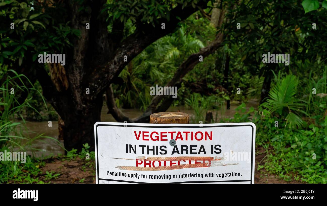 Vegetation in this area is protected signage to prevent vandalism and destruction of a tree on the creek bank Stock Photo