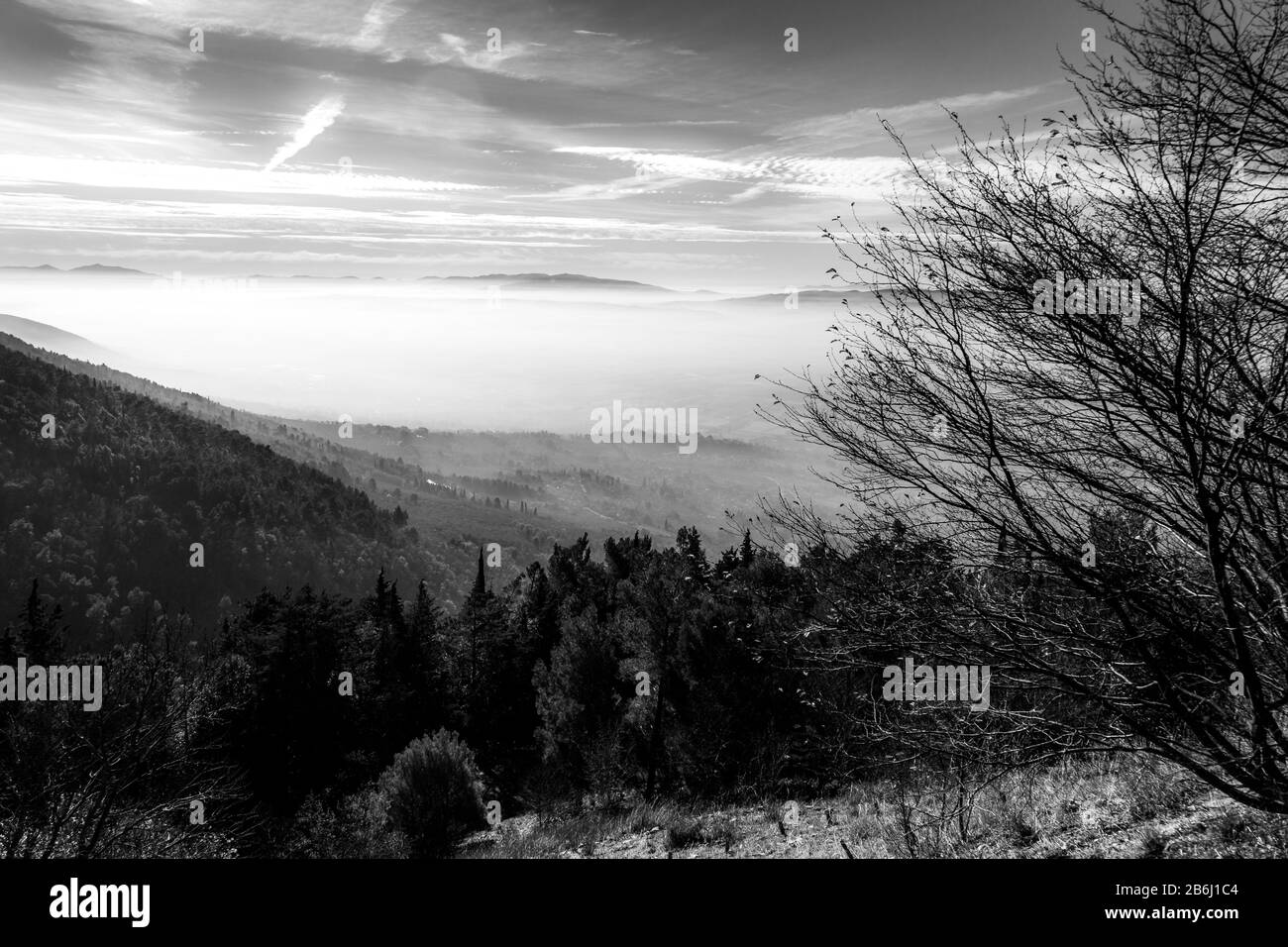 Mist Between Two Ridges Sea of fog and mist between layers of mountains and hills, with a tree ...