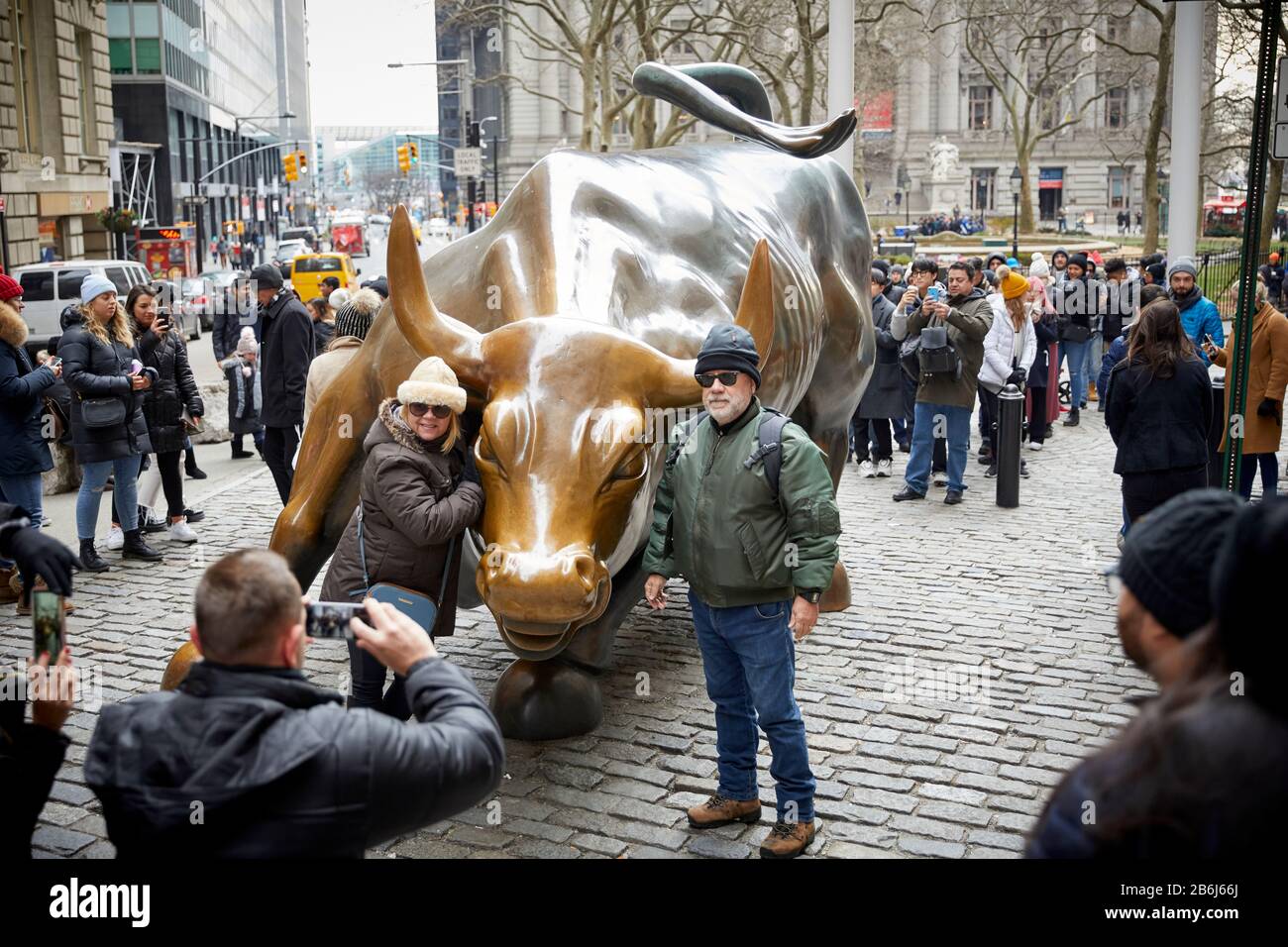 Wall Street Bull New York City New York Bull From Wall Street Symbol