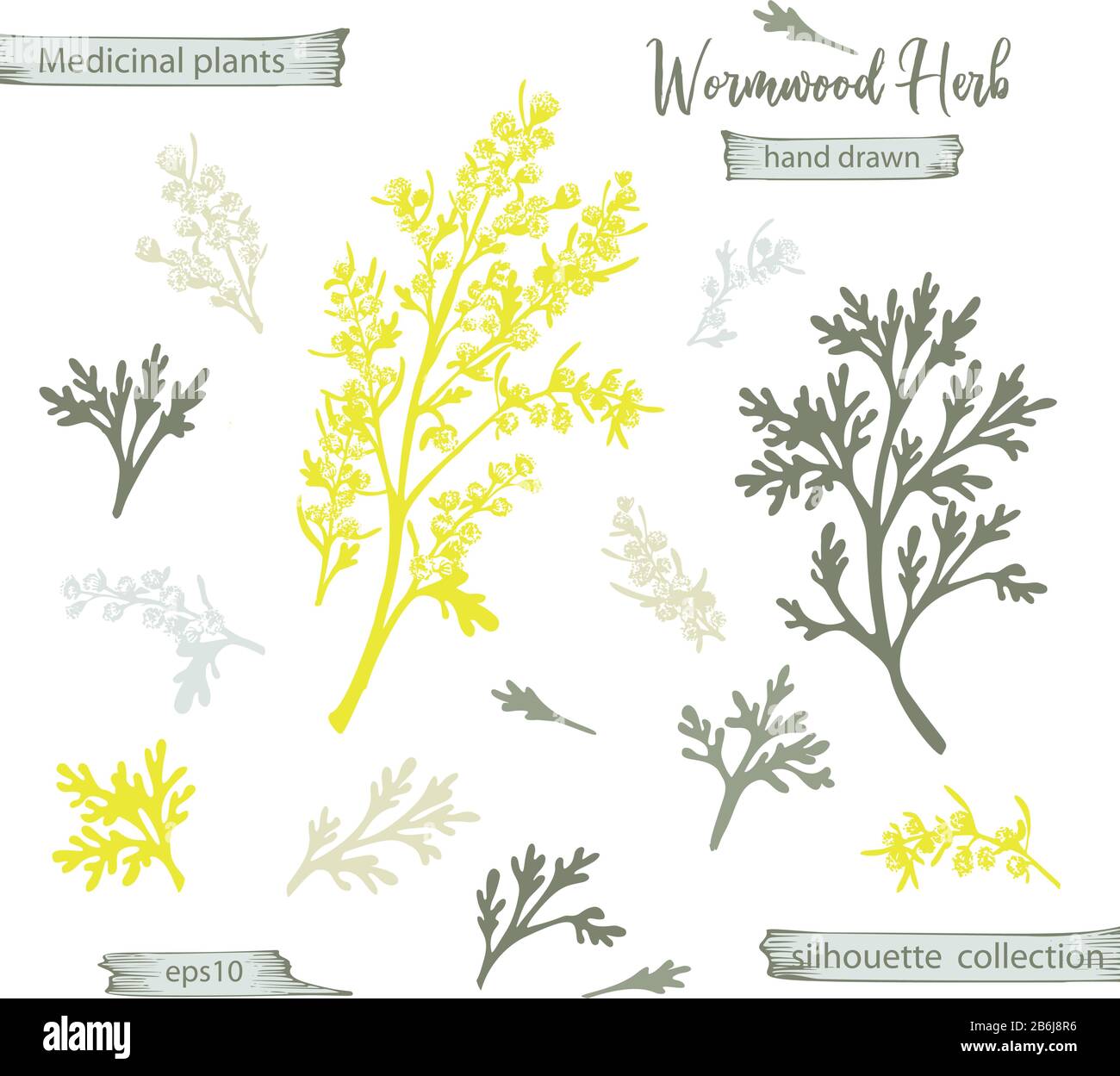 Set color hand drawn silhouette of wormwood, lives and flowers isolated on white background. Retro vintage graphic design. Botanical sketch drawing Stock Vector