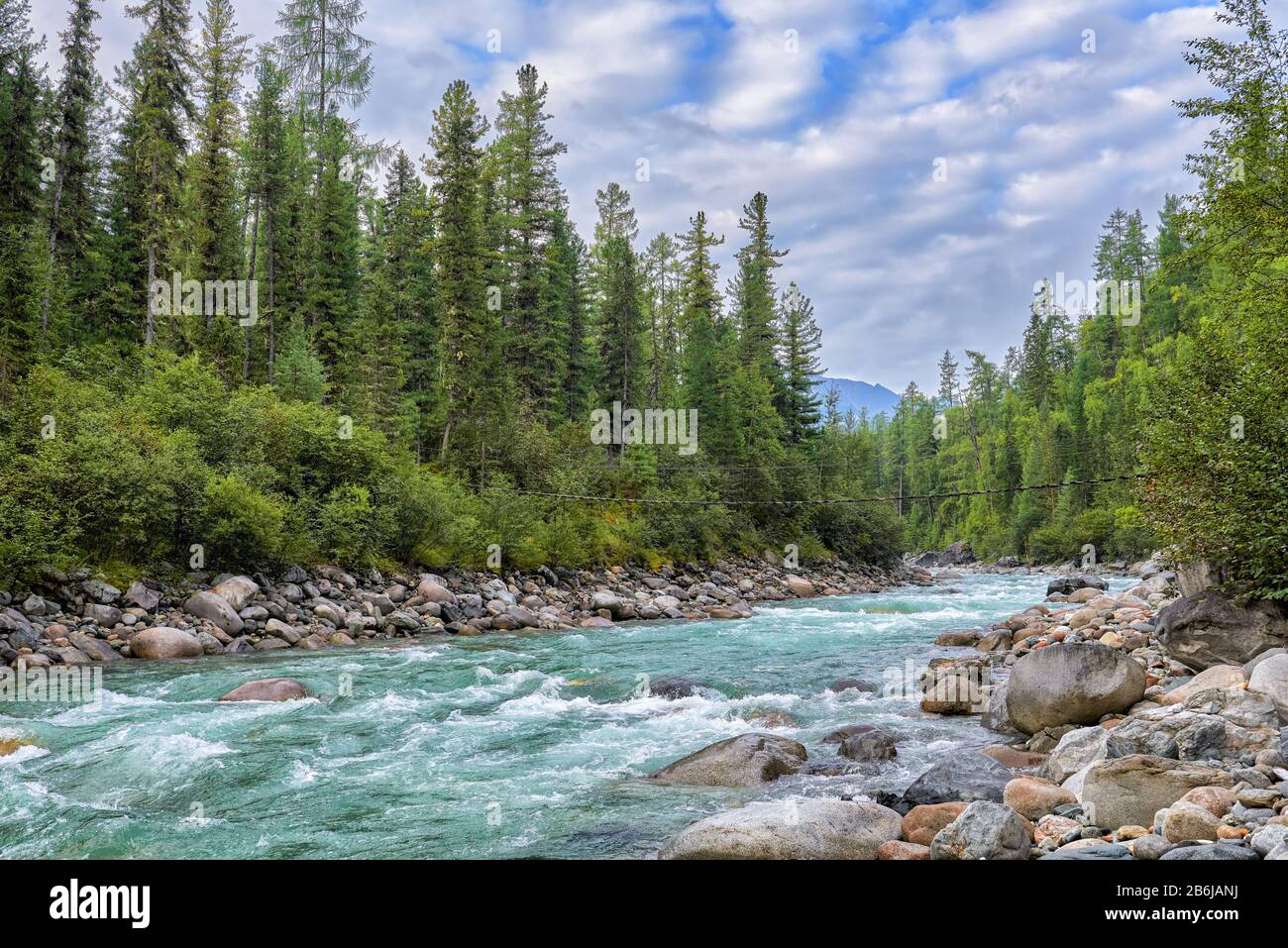 Siberian rivulet in foothill taiga. Centennial cedars and larch trees on the edge of the forest. East Sayan. Buryatia. Russia Stock Photo
