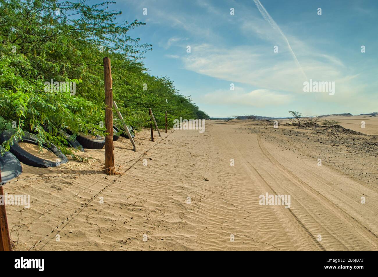 Saudi Arabian desert and desert life Stock Photo