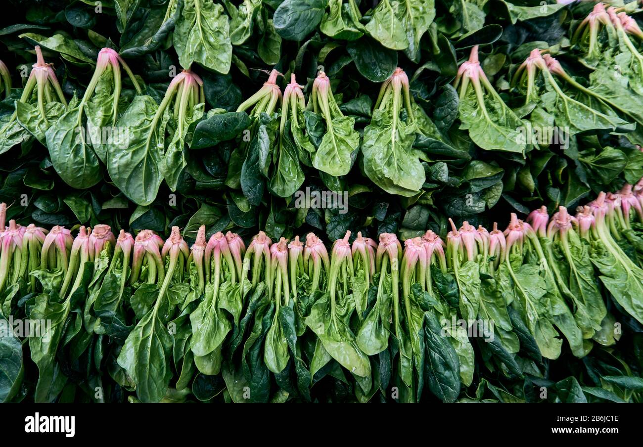 Fresh and organic spinach in the local market Stock Photo - Alamy