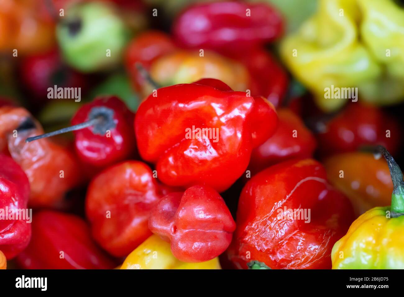 Close up of a pile of scotch bonnet peppers, in a variety of colours, on a market stall in Ealing, West London Stock Photo