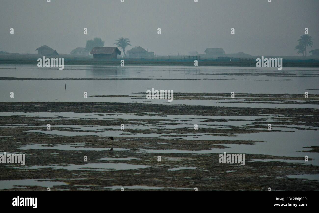 A landscape of shrimp producing water body with a small house on the embankment in a foggy morning. This is a technology for fighting climate  change. Stock Photo