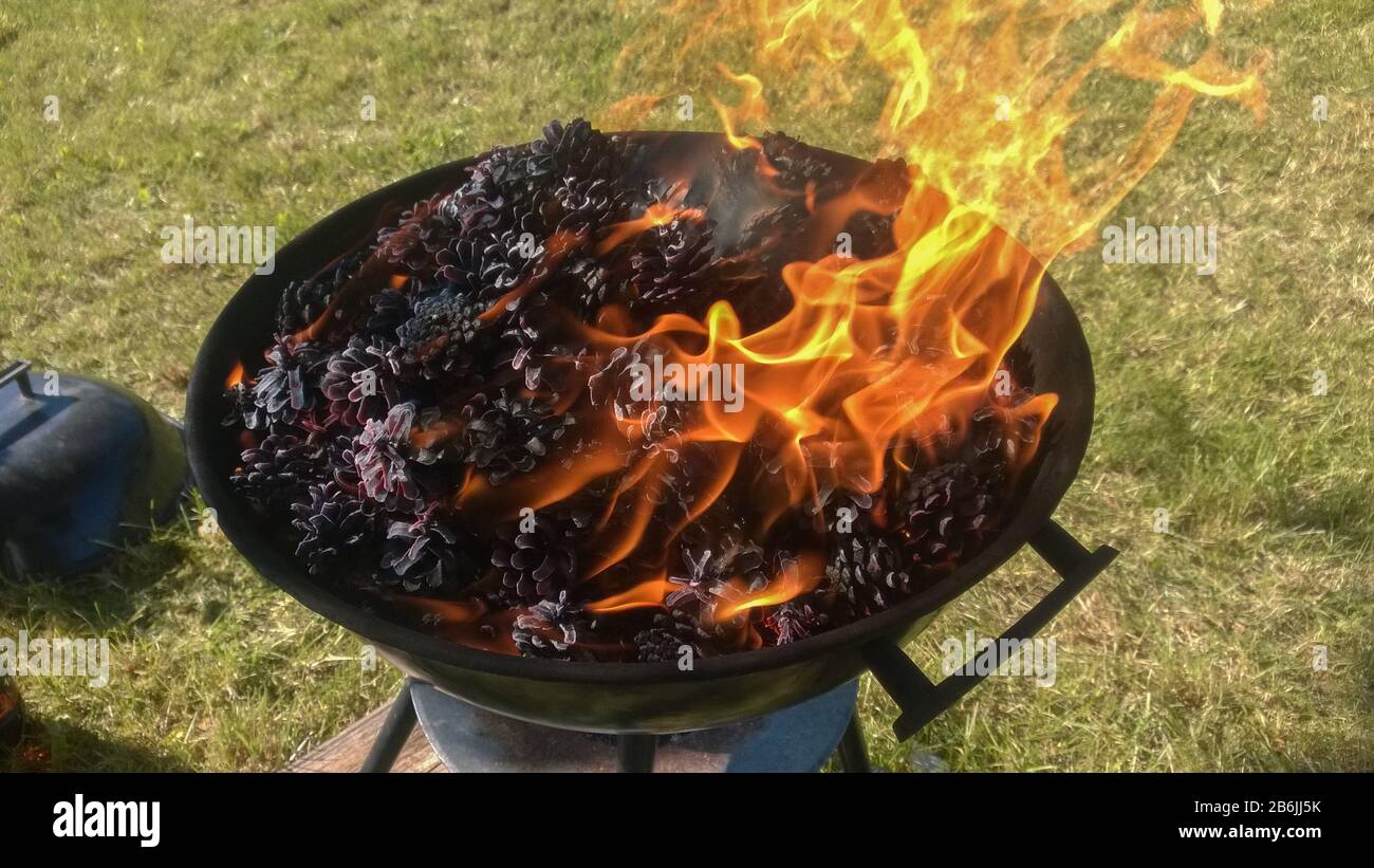 Burning pine cones in BBQ grill. Orange flames Stock Photo Alamy