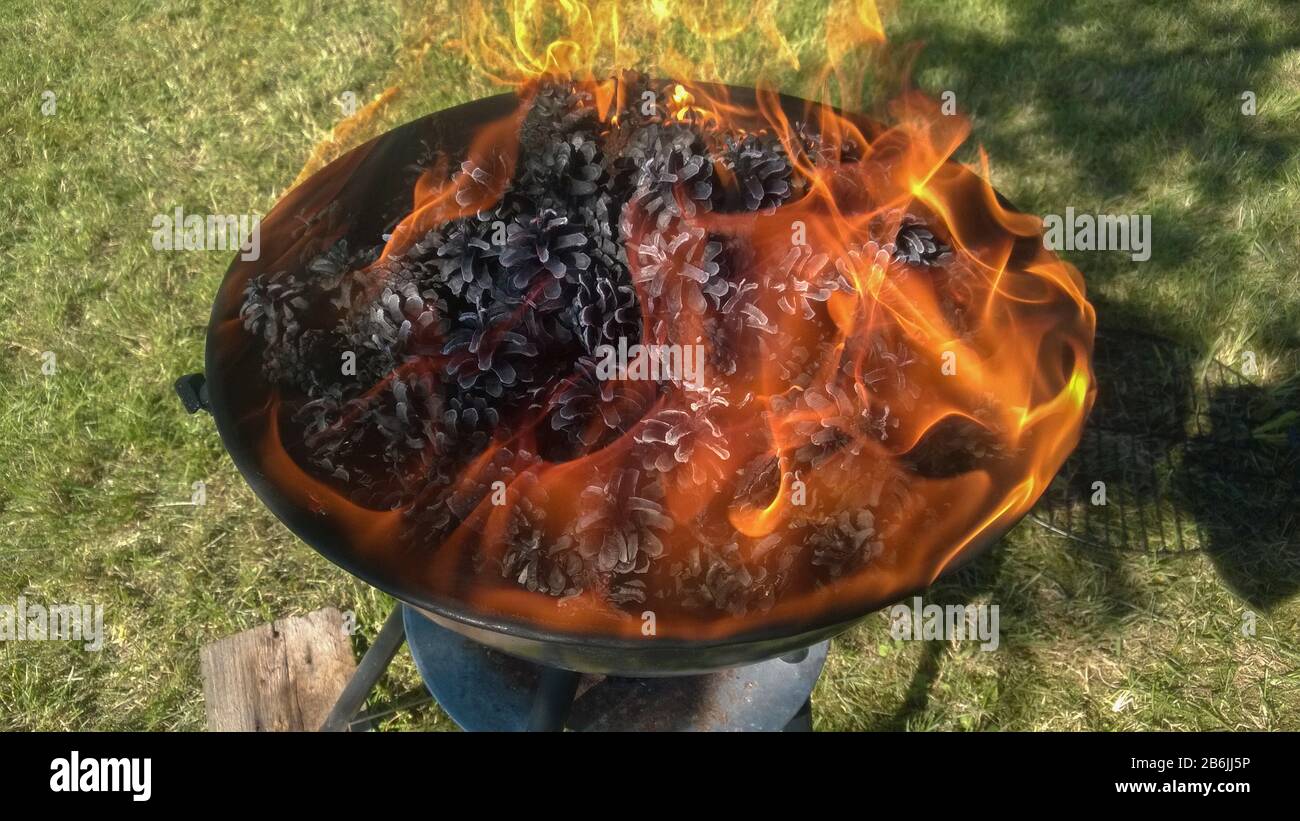 Burning pine cones in BBQ grill. Orange flames Stock Photo Alamy