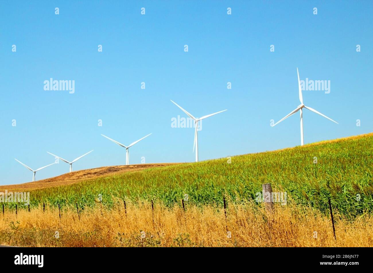 Windmills wind turbines farm power generators against landscape against