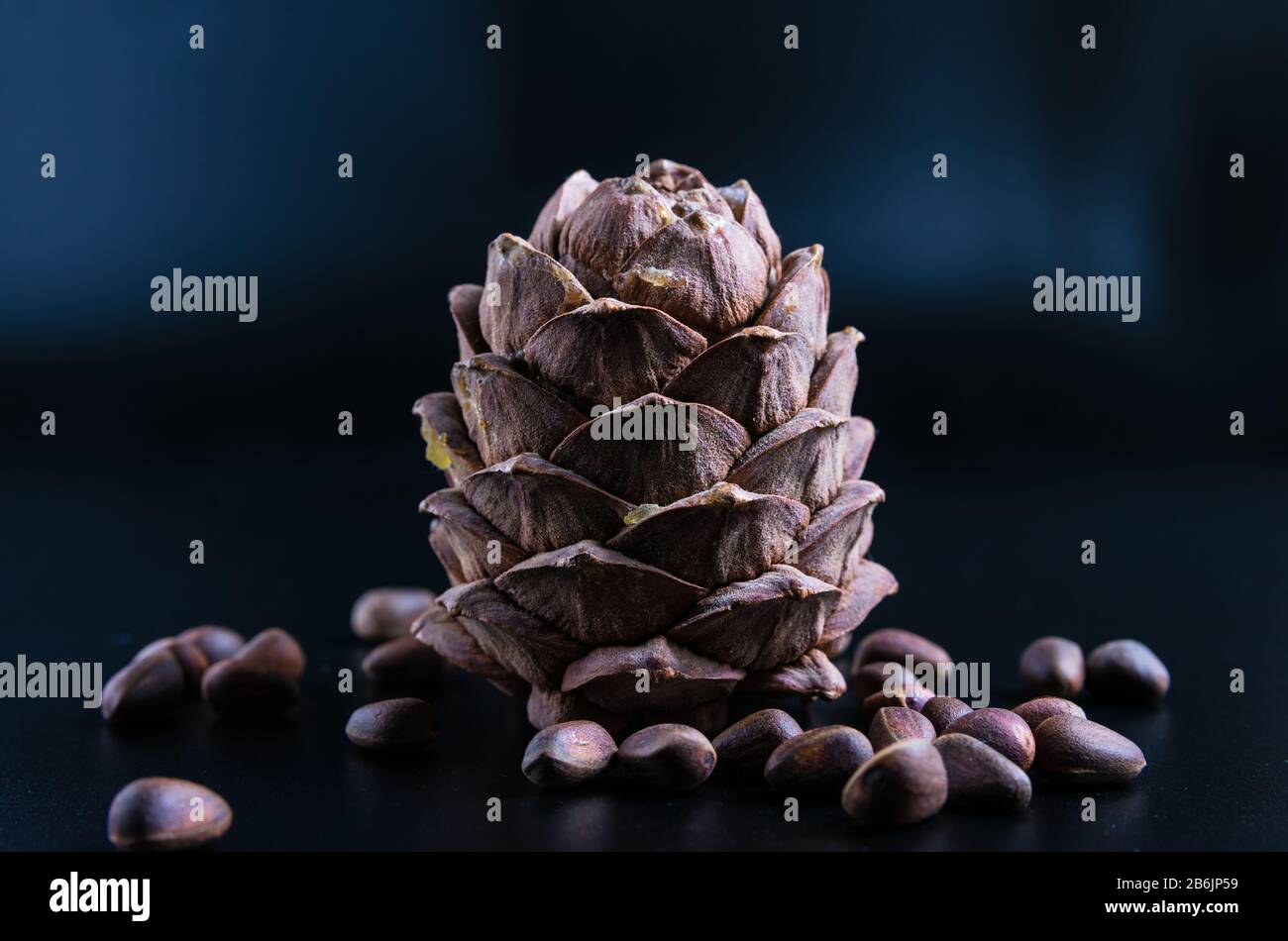 close-up, pine cone with nuts on a black background Stock Photo