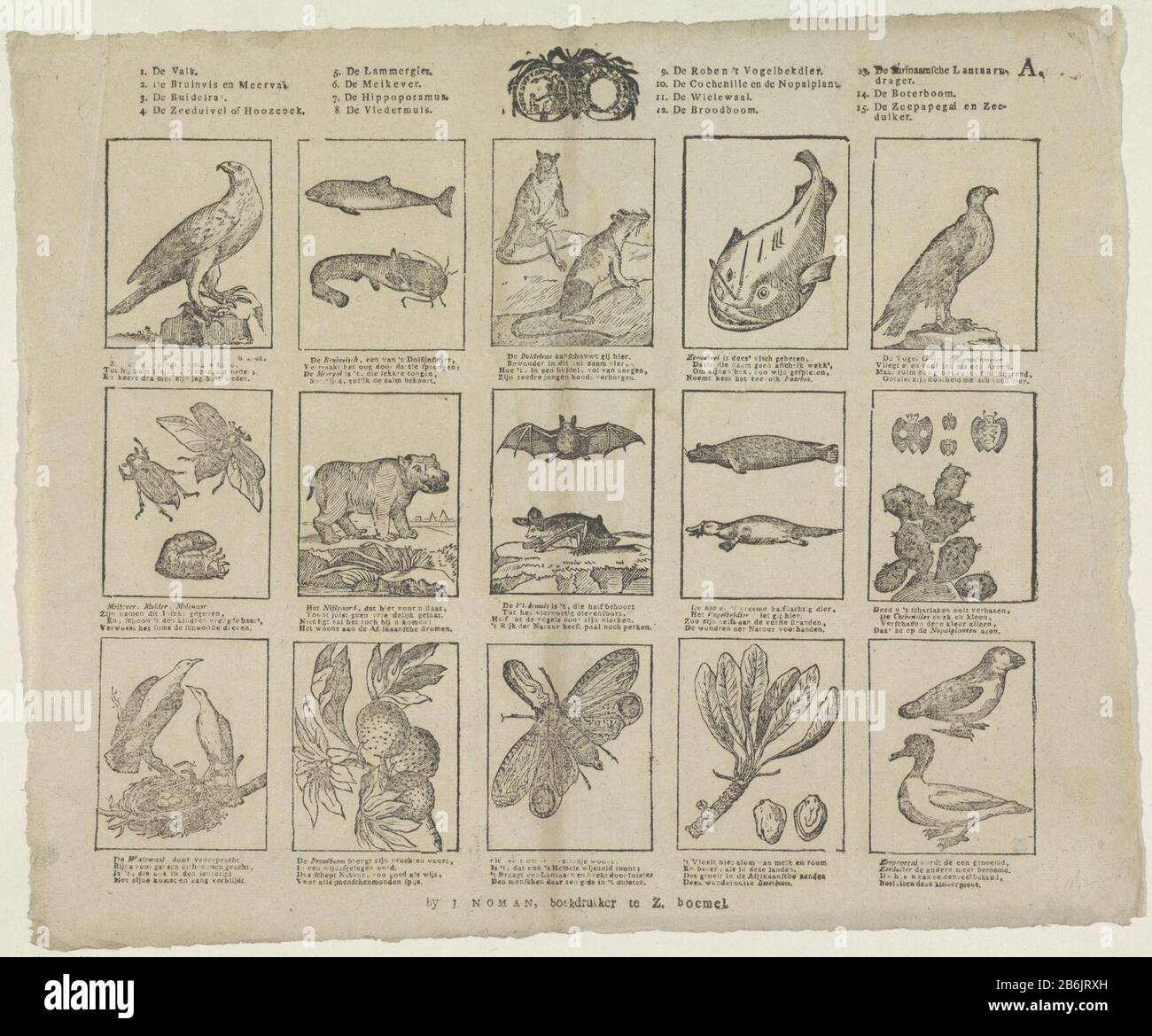 Animals, insects and plants Leaf with 15 representations of animals, insects and plants. Under each picture a four-line verse. Above an explanatory list of numbers. Top center of the seal Society for Animals, insects and plants Leaf with 15 representations of animals, insects and plants. Under each picture a four-line verse. Above an explanatory list of numbers. Top center of the seal Society for