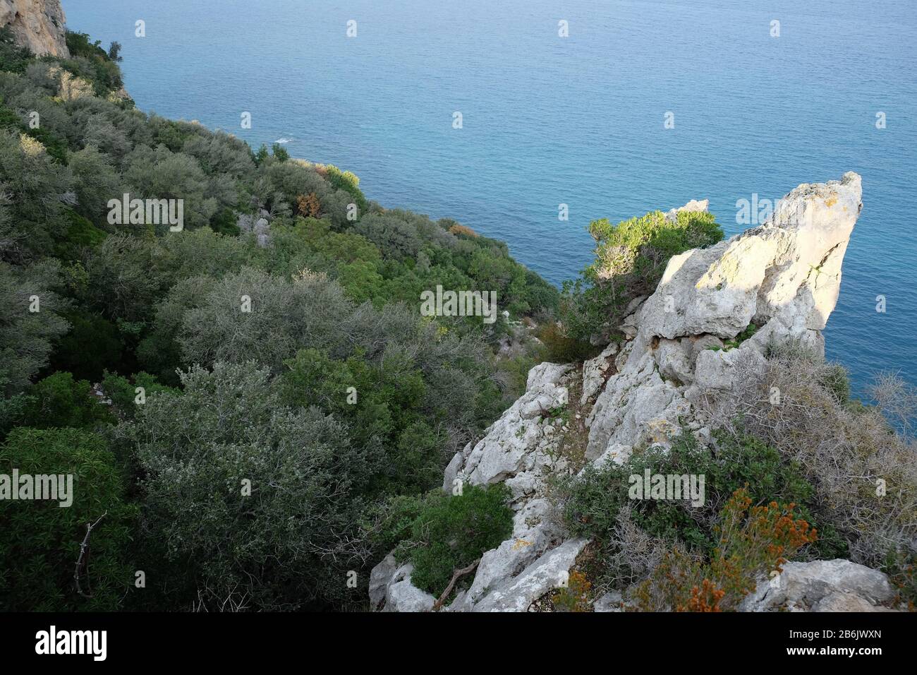 Landscape with sharp cliff in rocky shore covered with dense southern vegetation and wonderful clean turquoise water Mediterranean sea far below Stock Photo