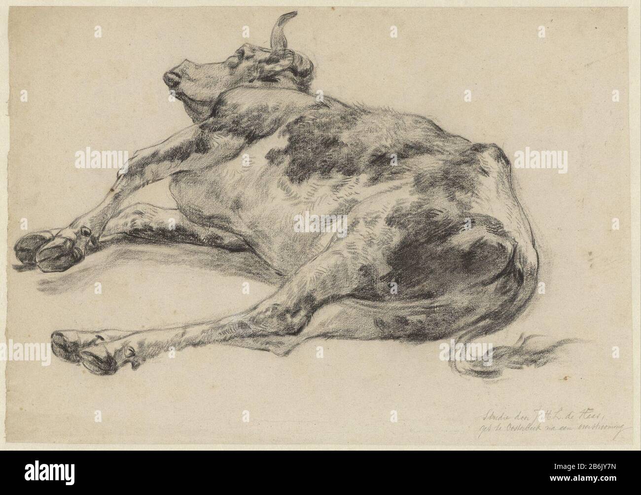 Dead cattle, after a overstromimg Oosterbeek Death cow, after overstromimg  Oosterbeek Property Type: Drawing Object number: RP-T 1916-41 Manufacturer  : artist: Johannes Hubertus Leonardus de Haas Date: 1842 - 1908 Physical  features: