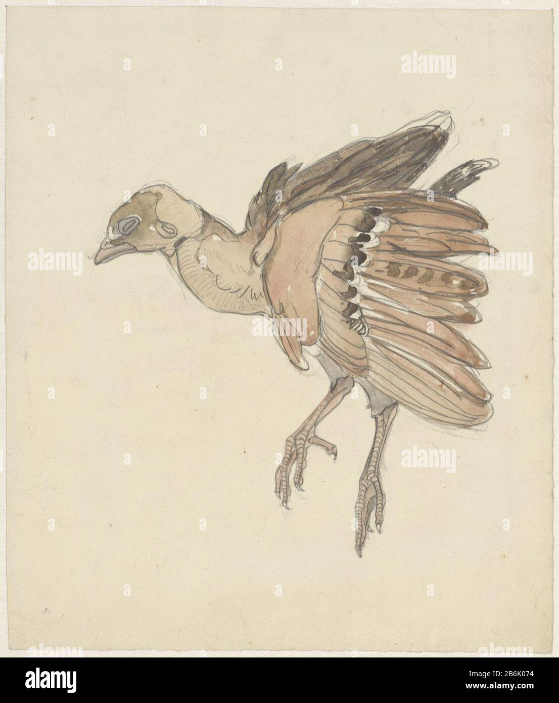 Dead Bird Partridge Dead Bird Partridge Property Type
