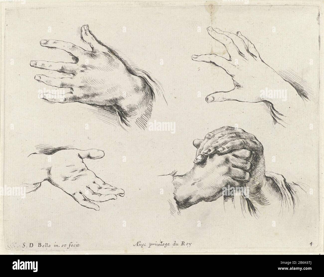 Disegno Drawing High Resolution Stock Photography And Images Alamy
