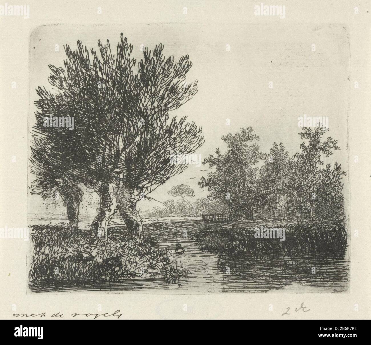 Willow Trees Stock Photos Willow Trees Stock Images Page 8 Alamy