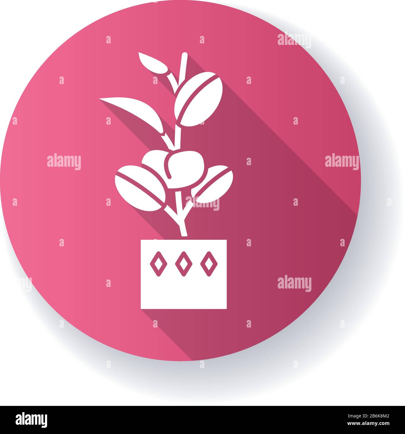 Ficus elastica pink flat design long shadow glyph icon. Rubber fig ...