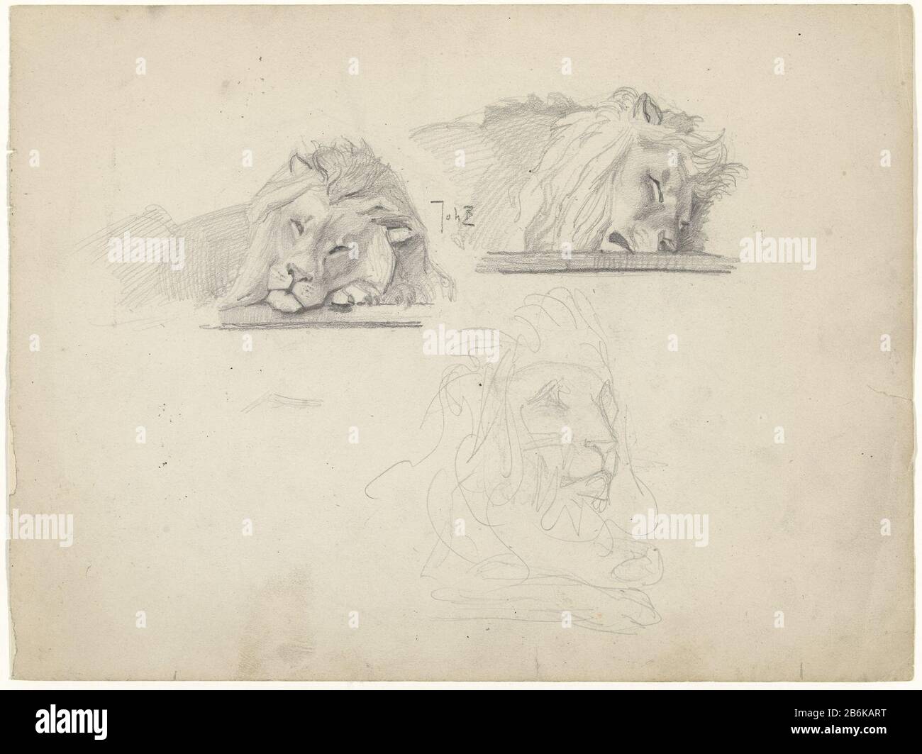 Three studies of a lion Three studies of a lion object type: Drawing Object number: RP-T 1990-138 Manufacturer : artist: Johan Braakensiek Dated: 1868 - 1940 Physical features: pencil material: paper pencil Dimensions: H 231 mm × W 310 mm Subject: beasts or prey, predatory animals: lion Stock Photo