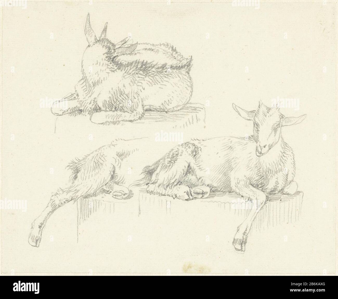 Three studies of reclining goats Three studies of reclining goats object type: drawing Object number: RP-T-1938-26 Manufacturer :  draftsman: Josephus August Cut Date: 1787 - 1847 Physical characteristics: pencil material: paper pencil Dimensions: h 143 mm × W 176 mm Subject: goat Stock Photo