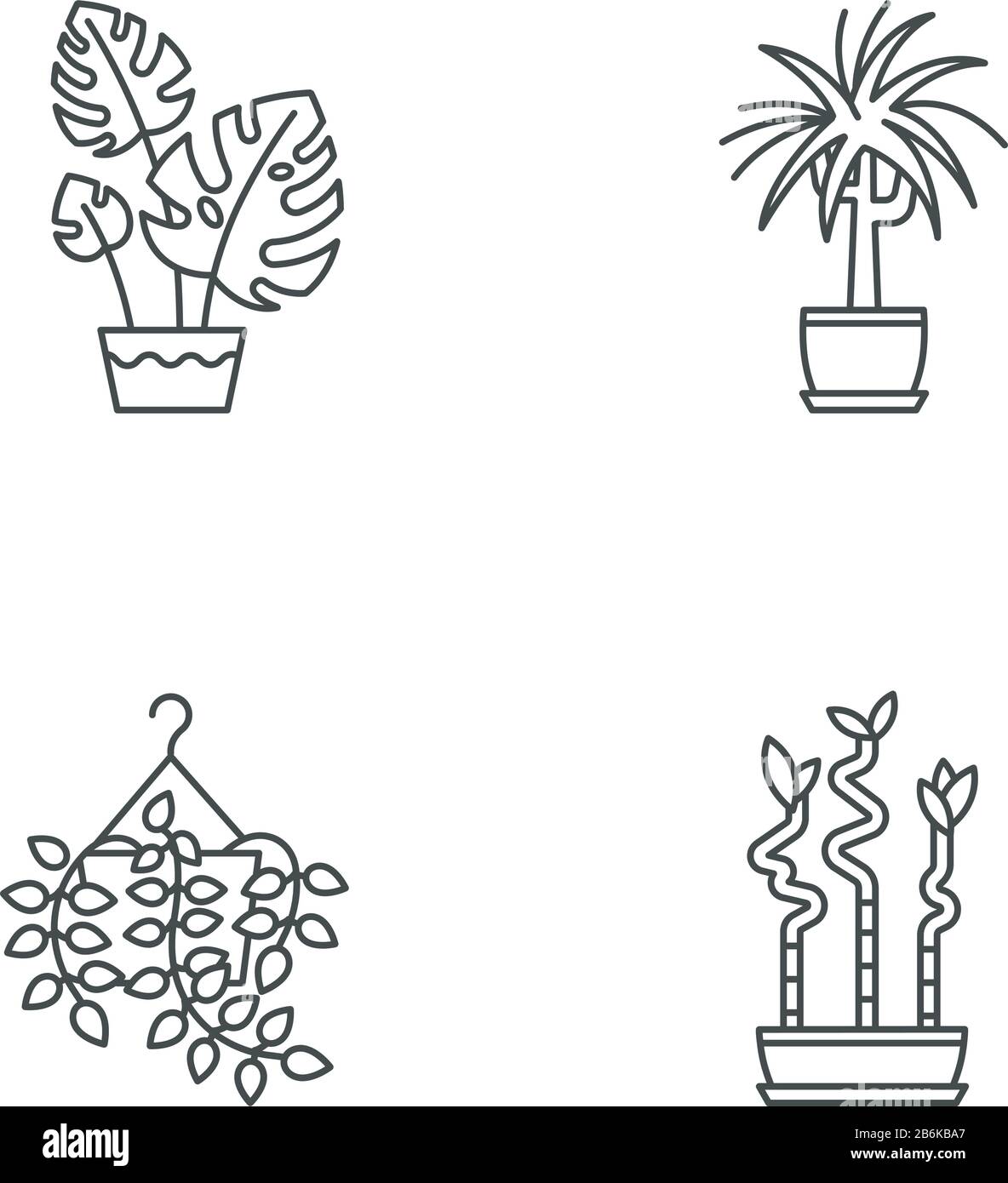 Domesticated plants pixel perfect linear icons set. Houseplants. Pothos, dracaena. Monstera, bamboo. Customizable thin line contour symbols. Isolated Stock Vector
