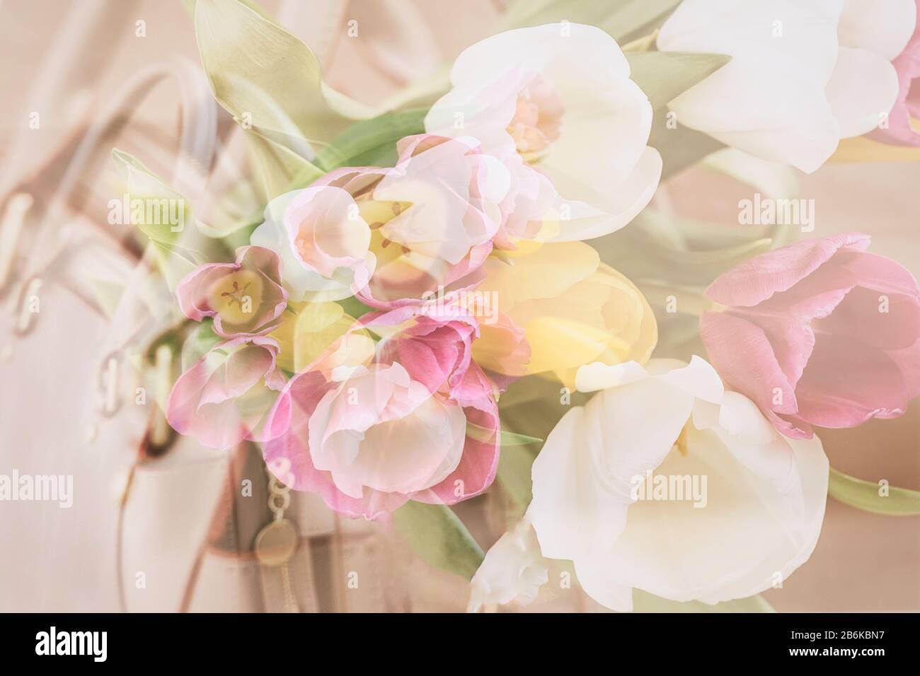 Blurred floral background, double exposure, colorful tulips. Concept of spring, holidays and gifts Stock Photo