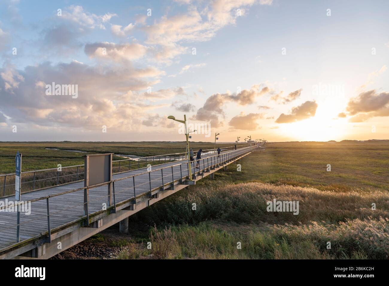 Landscape with pier and salt marshes, Sankt Peter-Ording, North Sea, Schleswig-Holstein, Germany, Europe Stock Photo