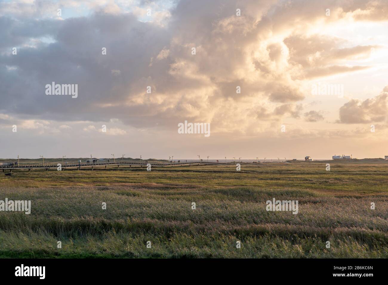 Landscape with salt marshes and pier, Sankt Peter-Ording, North Sea, Schleswig-Holstein, Germany, Europe Stock Photo
