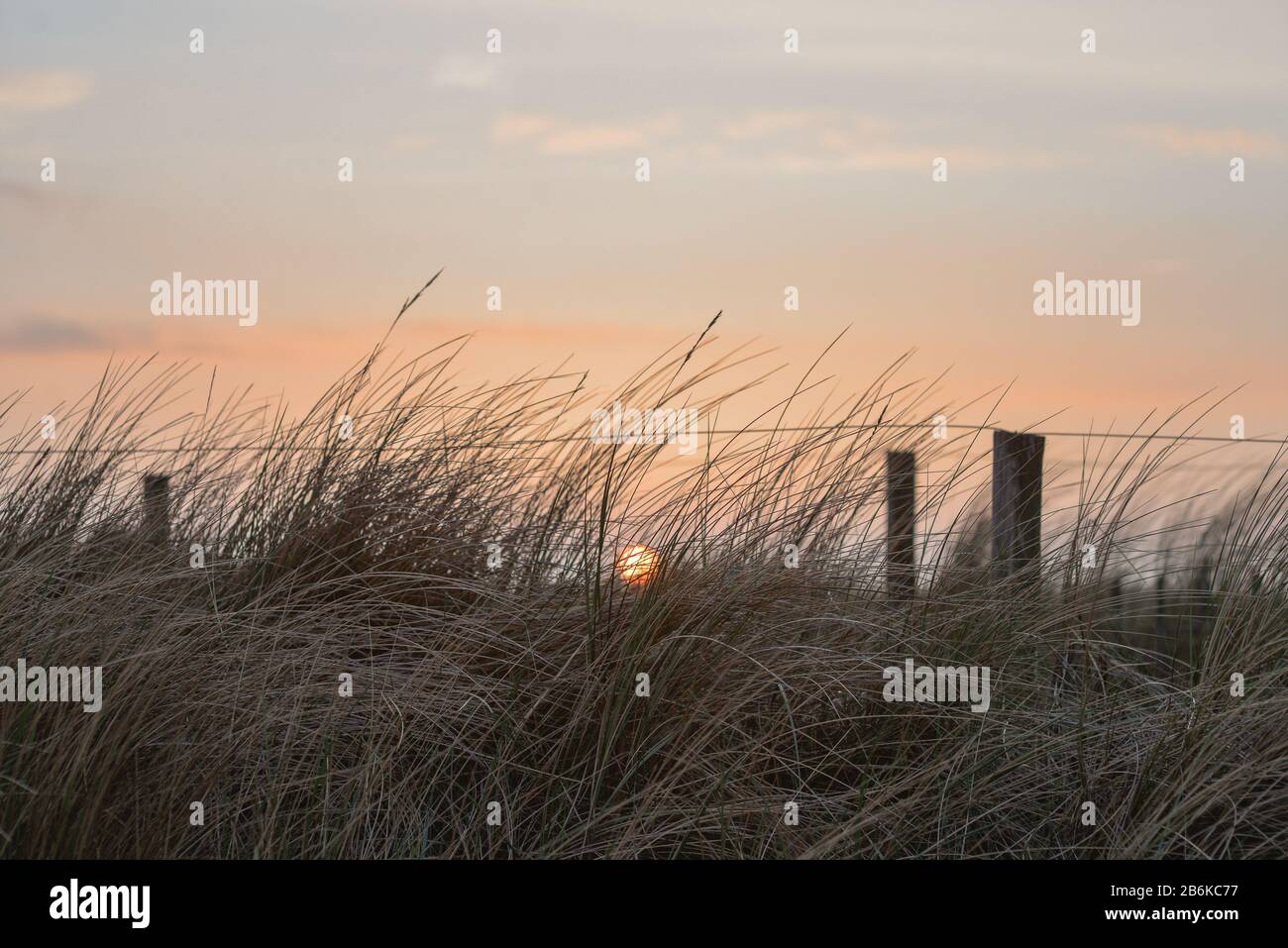 North Sea coast at the sunset in summer. The Netherlands, Europe Stock Photo