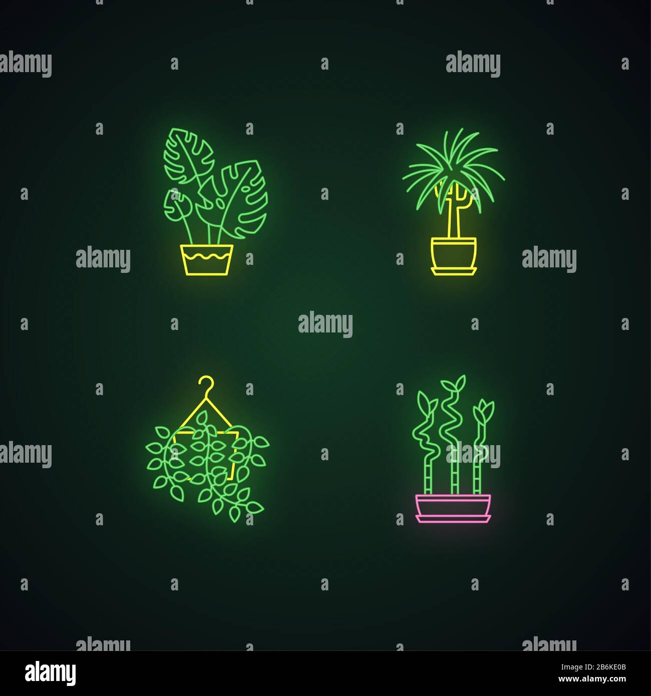 Domesticated plants neon light icons set. Houseplants. Ornamental indoor plants. Pothos, dracaena. Monstera, lucky bamboo. Signs with outer glowing Stock Vector