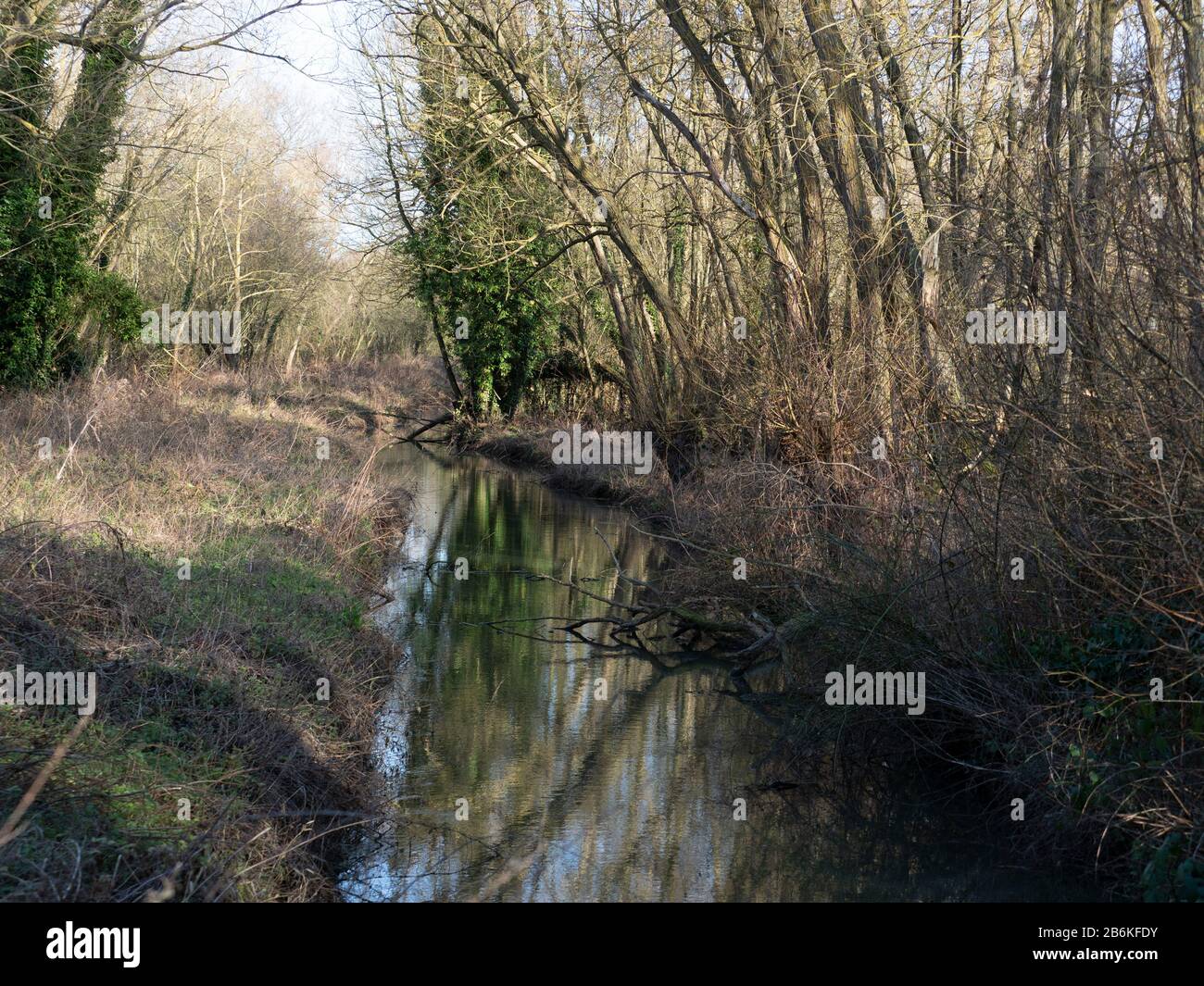 River and Trees, Stodmarsh, KENT UK Stock Photo