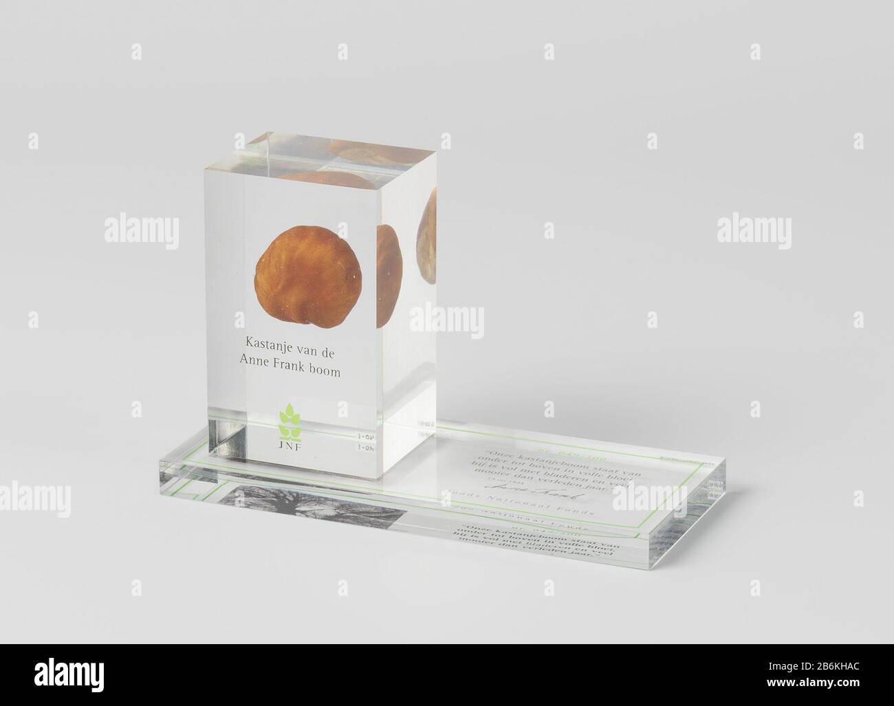 Anne Frank Tree High Resolution Stock Photography and Images - Alamy
