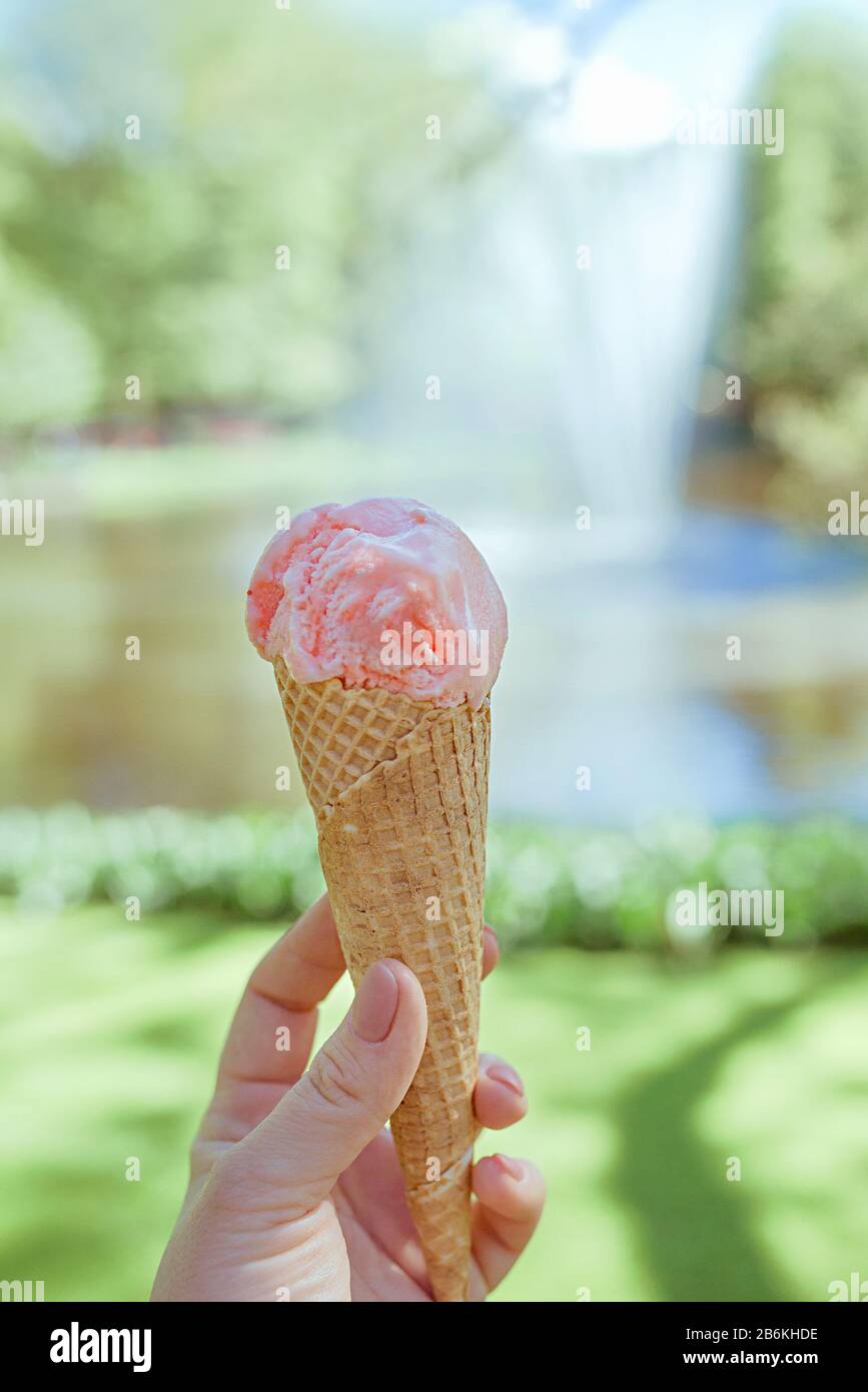 pink ice cream on spring or summer flowers landscape background Stock