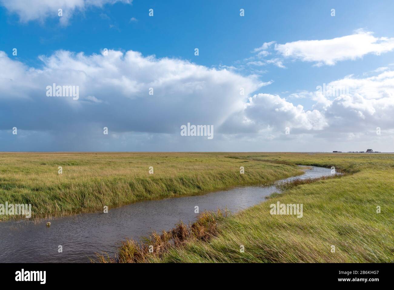 Landscape with salt marshes, Sankt Peter-Ording, North Sea, Schleswig-Holstein, Germany, Europe Stock Photo