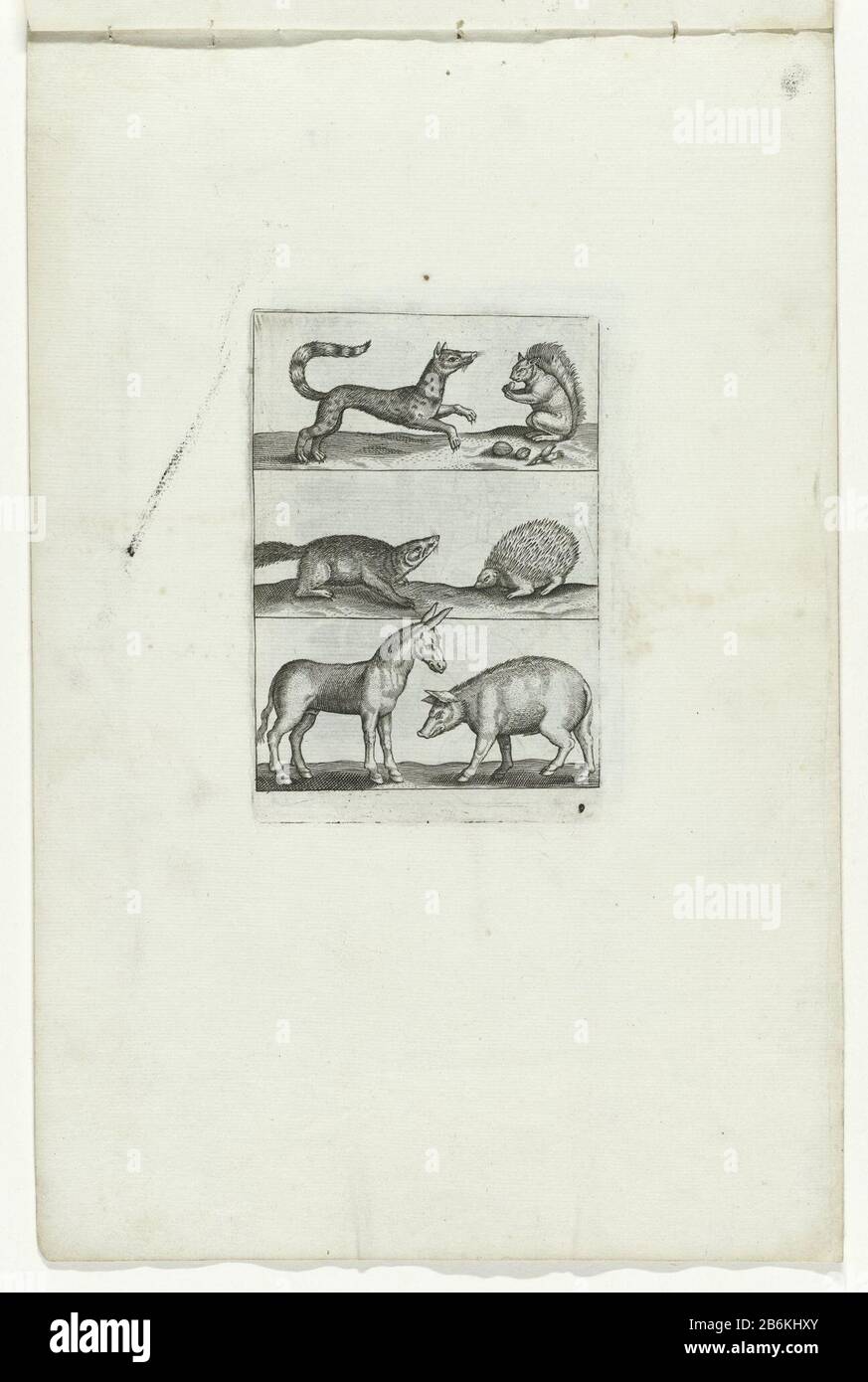 Squirrel, hedgehog, donkey, swine, and other animals Animals (series title) Six dieren. Manufacturer : printmaker : anonymous to a design of: Jan Collaert (II) is (possibly) to a design of: Adriaen Collaert (possible) Date: 1570 - 1668 Physical characteristics: etching and engra material: paper Technique: etching / engra (printing process) Measurements: plate edge: h 124 mm × b 86 mmToelichtingDeze series is copied to the example of the series Bestiarum quadrupedum Vivae Icones prints by Adriaen Collaert which was issued by Crispin de Passe in Utrecht. See New Hollstein Dutch, The Collaert Dyn Stock Photo
