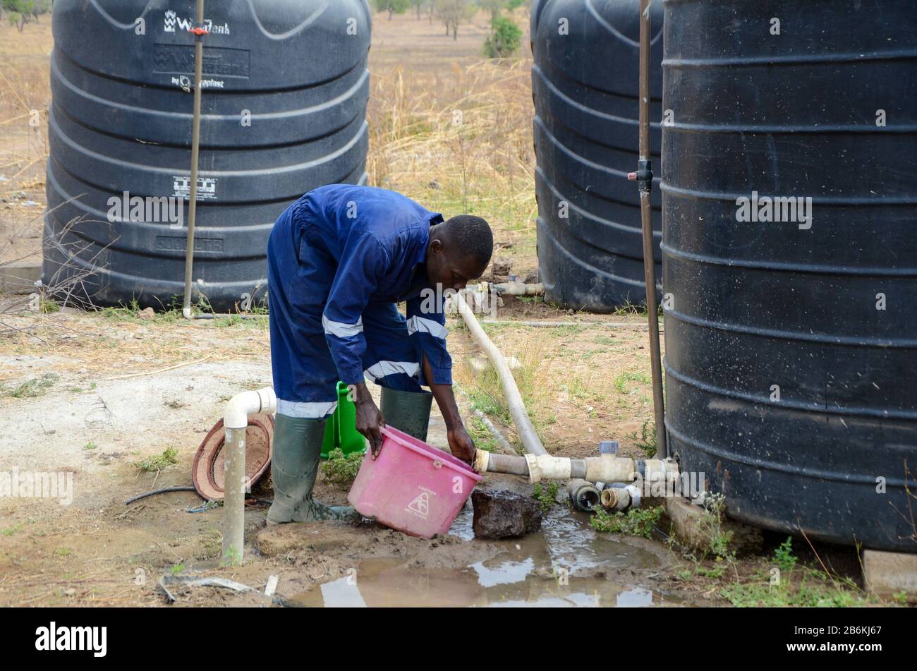 Irrigation farming in Ghana Stock Photo Alamy