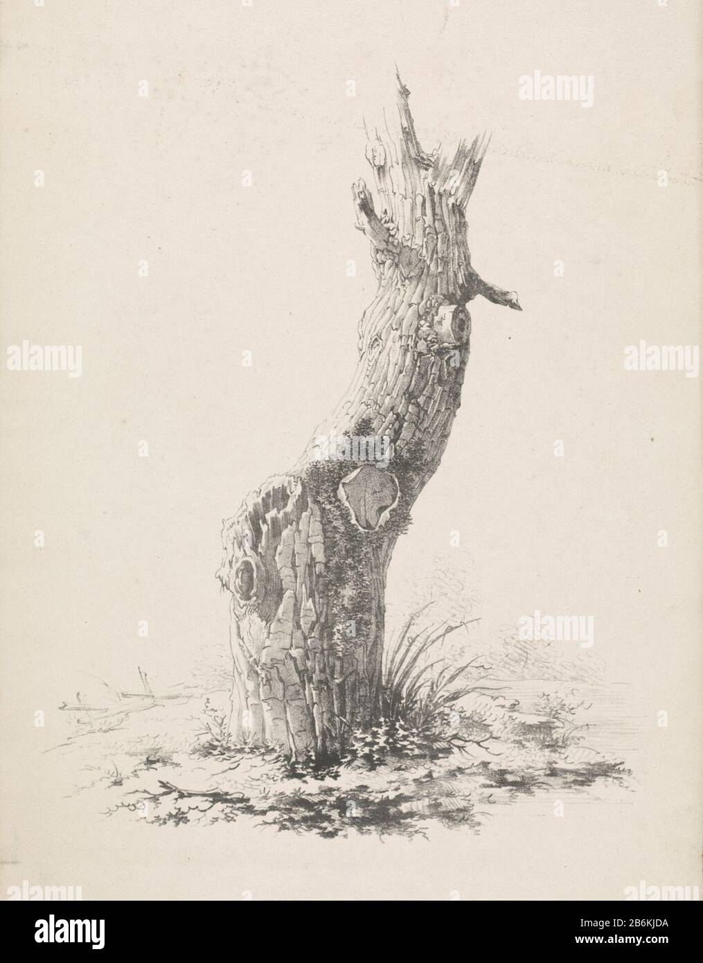 An overgrown tree trunk The trunk is moss. Only the lower part of the