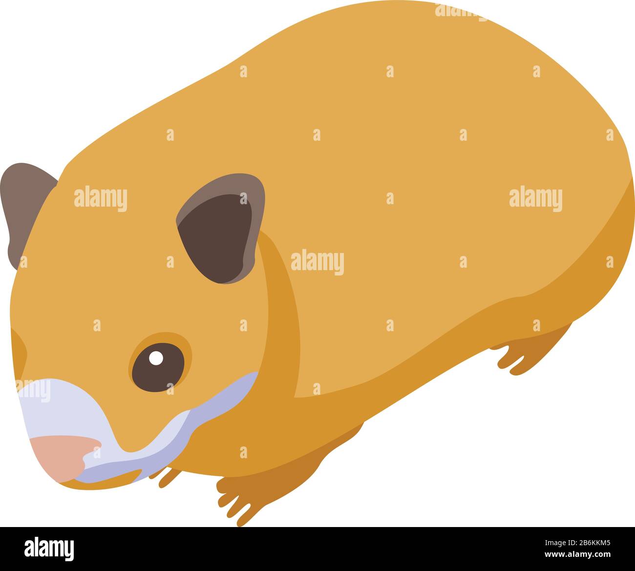 Small hamster icon, isometric style Stock Vector Image & Art - Alamy