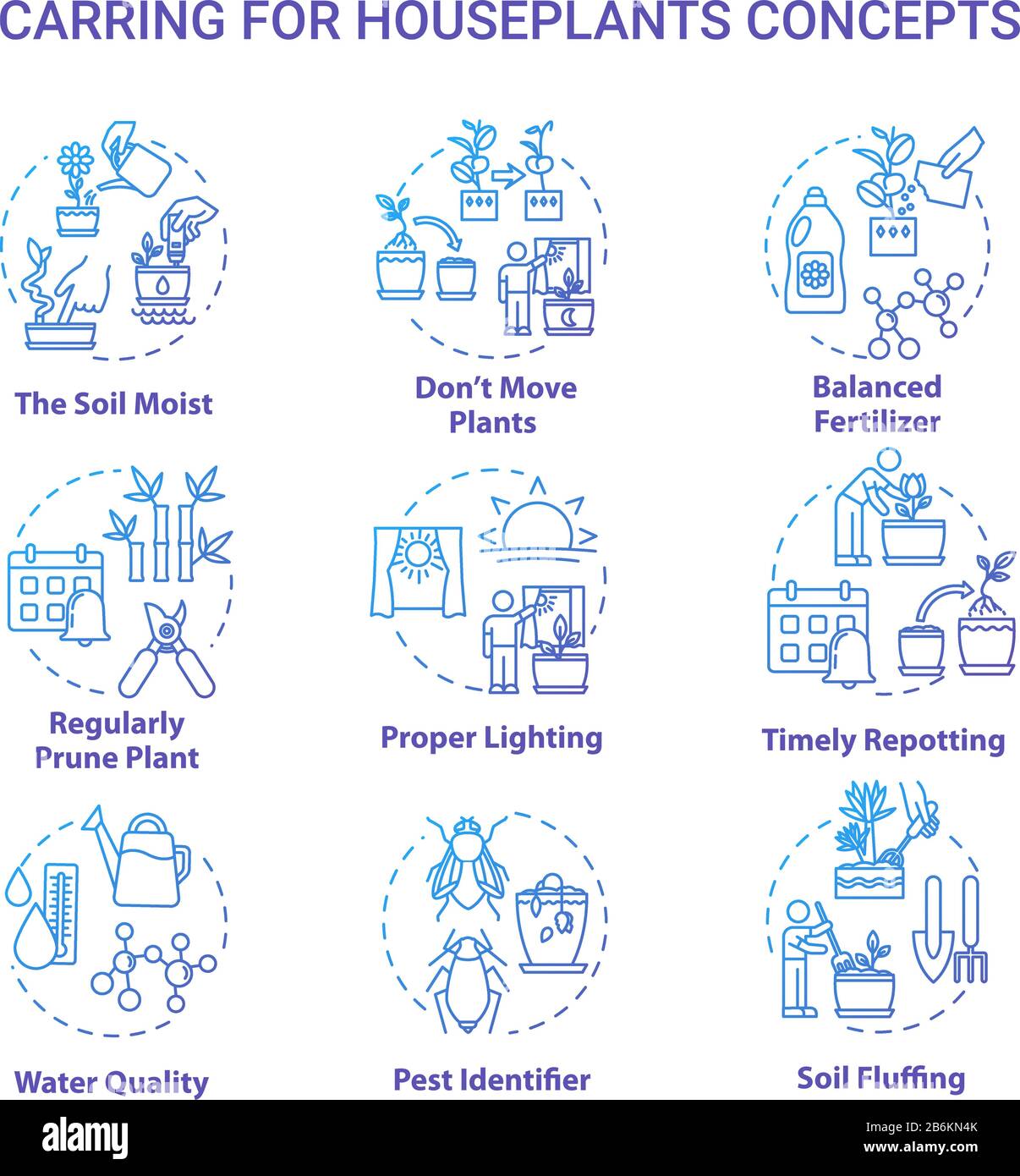 Houseplants caring concept icons set. Proper lighting. Balanced fertilizer. Timely repotting. Home gardening idea thin line RGB color illustrations Stock Vector